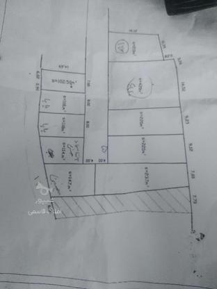 فروش زمین زیر قیمتی  در گروه خرید و فروش املاک در مازندران در شیپور-عکس1