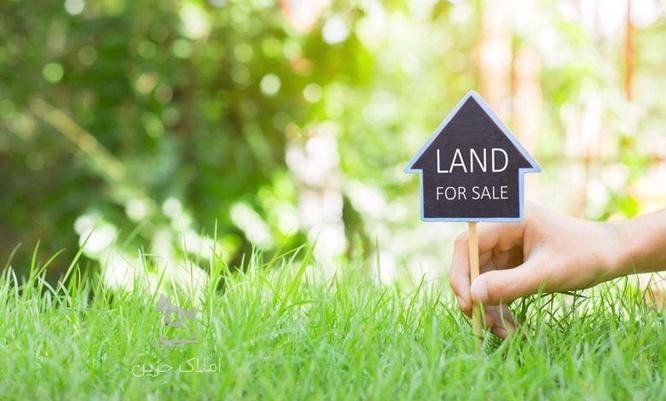 فروش زمین مسکونی 227 متر در میدان هدایت در گروه خرید و فروش املاک در گیلان در شیپور-عکس1