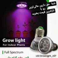 لامپ رشد گیاه صدر صد تضمینی