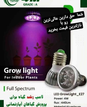 لامپ رشد گیاه صدر صد تضمینی در گروه خرید و فروش لوازم الکترونیکی در تهران در شیپور-عکس1