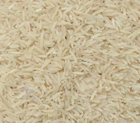 برنج سوزنی تک قلویر در گروه خرید و فروش خدمات و کسب و کار در گلستان در شیپور-عکس1