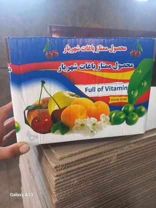 کارتن میوه ای در گروه خرید و فروش خدمات و کسب و کار در تهران در شیپور-عکس1