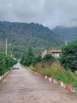 500 متر زمین در شهرک 120 پلاکه پلاک 1 جنگل چلندر در گروه خرید و فروش املاک در مازندران در شیپور-عکس1