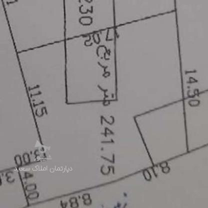فروش زمین مسکونی 241 متر در دستک در گروه خرید و فروش املاک در گیلان در شیپور-عکس1