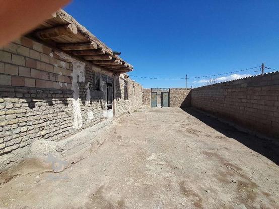 600متر روستایی ینگجه در گروه خرید و فروش املاک در زنجان در شیپور-عکس1