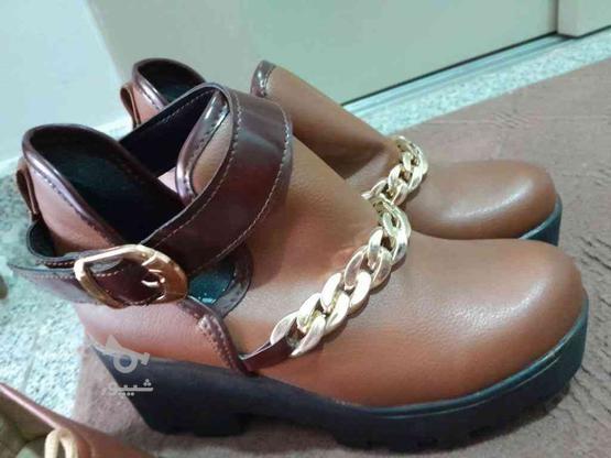 کفش نو سالم در گروه خرید و فروش لوازم شخصی در آذربایجان شرقی در شیپور-عکس1