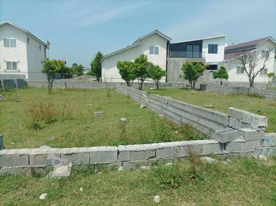 250متری بافت مسکونی قابل ساخت در گروه خرید و فروش املاک در مازندران در شیپور-عکس1