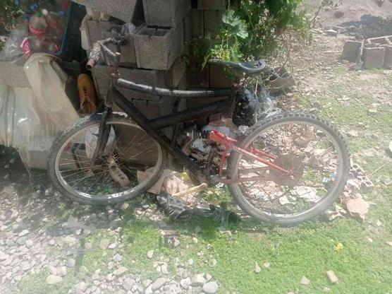 ‌‌‌‌‌‌‌‌‌‌دوچرخه سالم در گروه خرید و فروش ورزش فرهنگ فراغت در گلستان در شیپور-عکس1