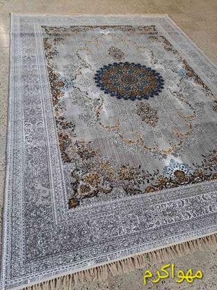 فرش با کیفیت قیمت مناسب در گروه خرید و فروش لوازم خانگی در مازندران در شیپور-عکس1