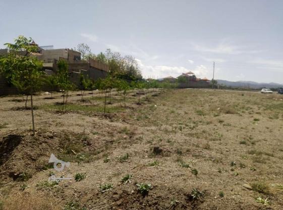 زمین/باغ ویلا در گروه خرید و فروش املاک در خراسان رضوی در شیپور-عکس1