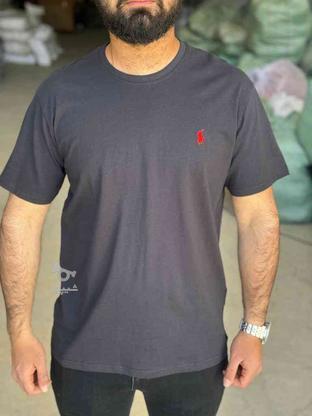 فروش تی شرت صددر صد نخ پنبه بصورت تک و عمده در گروه خرید و فروش لوازم شخصی در کردستان در شیپور-عکس1