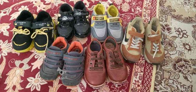 چندین جفت کفش پسرانه در گروه خرید و فروش لوازم شخصی در خراسان شمالی در شیپور-عکس1