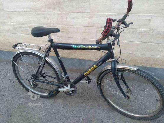 دوچرخه 26 دنده ایی دماوند در گروه خرید و فروش ورزش فرهنگ فراغت در زنجان در شیپور-عکس1