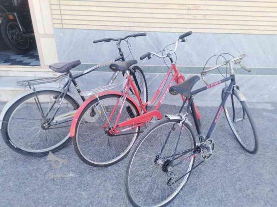 سه عدد دوچرخه در گروه خرید و فروش ورزش فرهنگ فراغت در اصفهان در شیپور-عکس1
