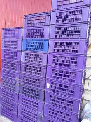 سبد حمل مرغ 25کیلویی در گروه خرید و فروش خدمات و کسب و کار در مازندران در شیپور-عکس1