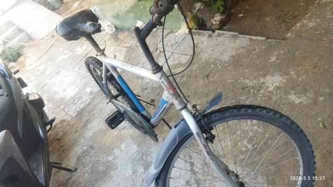 دوچرخه ساده در گروه خرید و فروش ورزش فرهنگ فراغت در خراسان رضوی در شیپور-عکس1