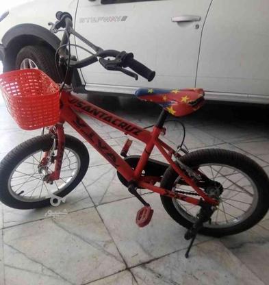 دوچرخه بچه گانه در گروه خرید و فروش ورزش فرهنگ فراغت در خراسان رضوی در شیپور-عکس1