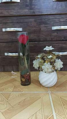 دو عدد گلدان در گروه خرید و فروش لوازم خانگی در تهران در شیپور-عکس1