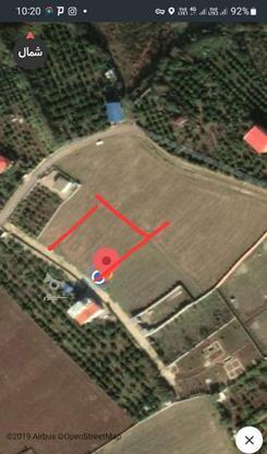زمین 800 متری مناسب ساخت با ویو رویایی در گروه خرید و فروش املاک در مازندران در شیپور-عکس1
