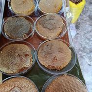 تولید وفروش عسل کوهی ودرمانی ژل رویال