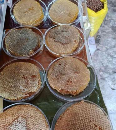 تولید وفروش عسل کوهی ودرمانی ژل رویال در گروه خرید و فروش خدمات و کسب و کار در آذربایجان شرقی در شیپور-عکس1
