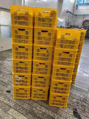 پالت پلاستیکی جک خور،لیفتراک خور در گروه خرید و فروش خدمات و کسب و کار در البرز در شیپور-عکس1