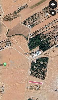 زمین باغی 1000 متری در گروه خرید و فروش املاک در فارس در شیپور-عکس1