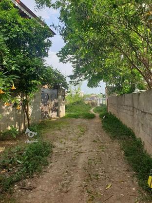 زمین مسکونی ویو ابدی در گروه خرید و فروش املاک در گیلان در شیپور-عکس1
