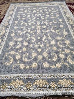 فروش فرش به قیمت درب کارخانه در گروه خرید و فروش لوازم خانگی در مازندران در شیپور-عکس1
