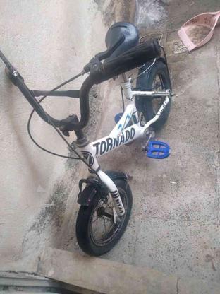 دوچرخه کودک تخفیف دارد در گروه خرید و فروش ورزش فرهنگ فراغت در البرز در شیپور-عکس1