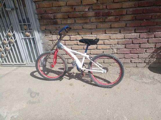 دو چرخه سایز 20 در گروه خرید و فروش ورزش فرهنگ فراغت در کرمانشاه در شیپور-عکس1