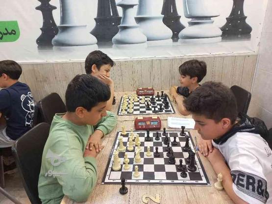 مربی شطرنج در گروه خرید و فروش خدمات و کسب و کار در تهران در شیپور-عکس1