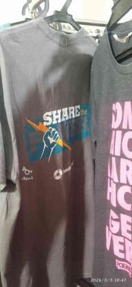 فروش تیشرت های بدون دوخت بغل اروپایی در گروه خرید و فروش لوازم شخصی در مازندران در شیپور-عکس1
