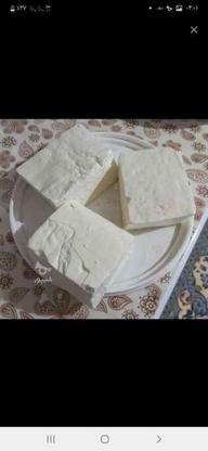 پنیر و کره محلی کاملا بهداشتی عالی در گروه خرید و فروش خدمات و کسب و کار در زنجان در شیپور-عکس1