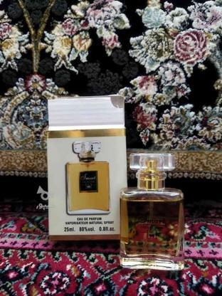 عطر و ادکلن مینی ارجینال اماراتی در گروه خرید و فروش لوازم شخصی در زنجان در شیپور-عکس1