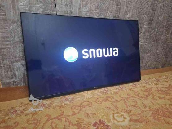 تلوزیون 55 led اسنوا در گروه خرید و فروش لوازم الکترونیکی در خراسان رضوی در شیپور-عکس1