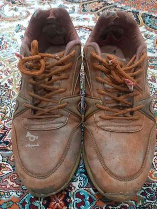 کفش چرم سایز43 در گروه خرید و فروش لوازم شخصی در اردبیل در شیپور-عکس1