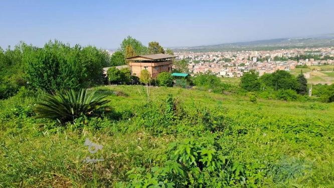 فروش باغ با امتیازات برق و آب و راه اختصاصی در گروه خرید و فروش املاک در مازندران در شیپور-عکس1
