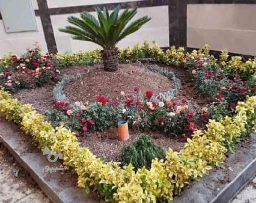 خدمات باغبانی گل کاری باغچه کاری در تمام نقاط تهران در گروه خرید و فروش خدمات و کسب و کار در تهران در شیپور-عکس1