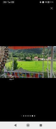  اجاره کوتاه مدت 110 متر کلبه جنگلی سنتی با ویویی پرفکت در گروه خرید و فروش املاک در گیلان در شیپور-عکس1