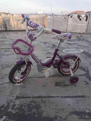 دوچرخه کودک کاملا سالم و کم کارکرد در گروه خرید و فروش ورزش فرهنگ فراغت در مازندران در شیپور-عکس1