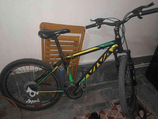 دوچرخه ویوا 26 در گروه خرید و فروش ورزش فرهنگ فراغت در آذربایجان غربی در شیپور-عکس1