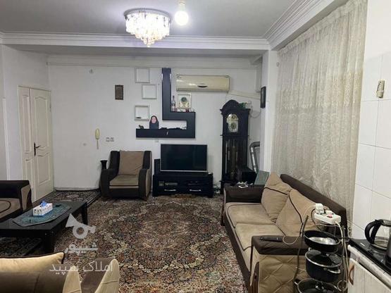 فروش آپارتمان در 16 متری در گروه خرید و فروش املاک در مازندران در شیپور-عکس1