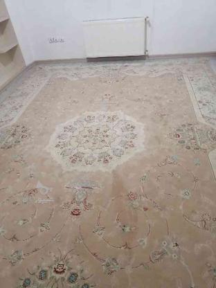فروش فوری فرش در گروه خرید و فروش لوازم خانگی در اردبیل در شیپور-عکس1