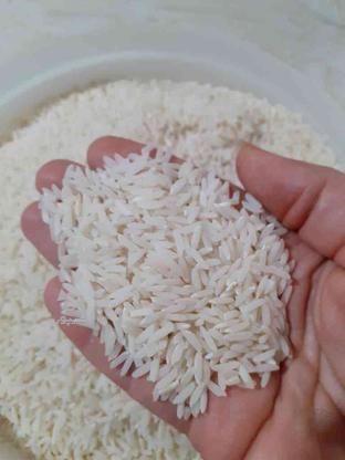 برنج طارم هاشمی درجه1 در گروه خرید و فروش خدمات و کسب و کار در مازندران در شیپور-عکس1