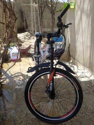 دوچرخه المپیا26 در گروه خرید و فروش ورزش فرهنگ فراغت در همدان در شیپور-عکس1