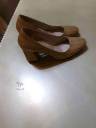 کفش کرم رنگ بسیار زیبا سائز 38 نونو در گروه خرید و فروش لوازم شخصی در گیلان در شیپور-عکس1