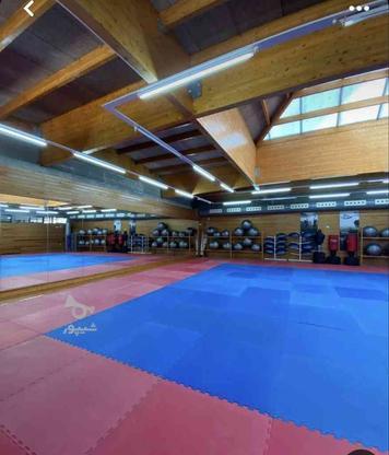 ثبت نام کلاس کاراته در آمل شروع شد در گروه خرید و فروش خدمات و کسب و کار در مازندران در شیپور-عکس1