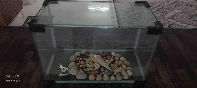 اکواریوم شیشه خم شرکتی با درب شیشه ای در گروه خرید و فروش ورزش فرهنگ فراغت در خراسان رضوی در شیپور-عکس1