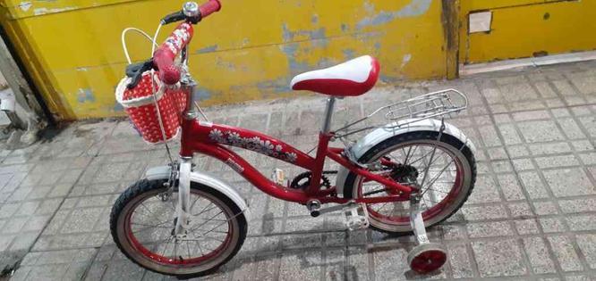 دوچرخه 16قرمز دخترانه در گروه خرید و فروش ورزش فرهنگ فراغت در البرز در شیپور-عکس1